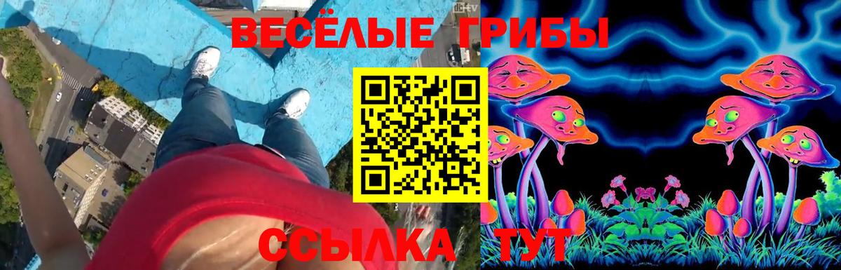 Алушта  Галлюциногенные грибы мицелий  наркошоп  Вход с VPN 